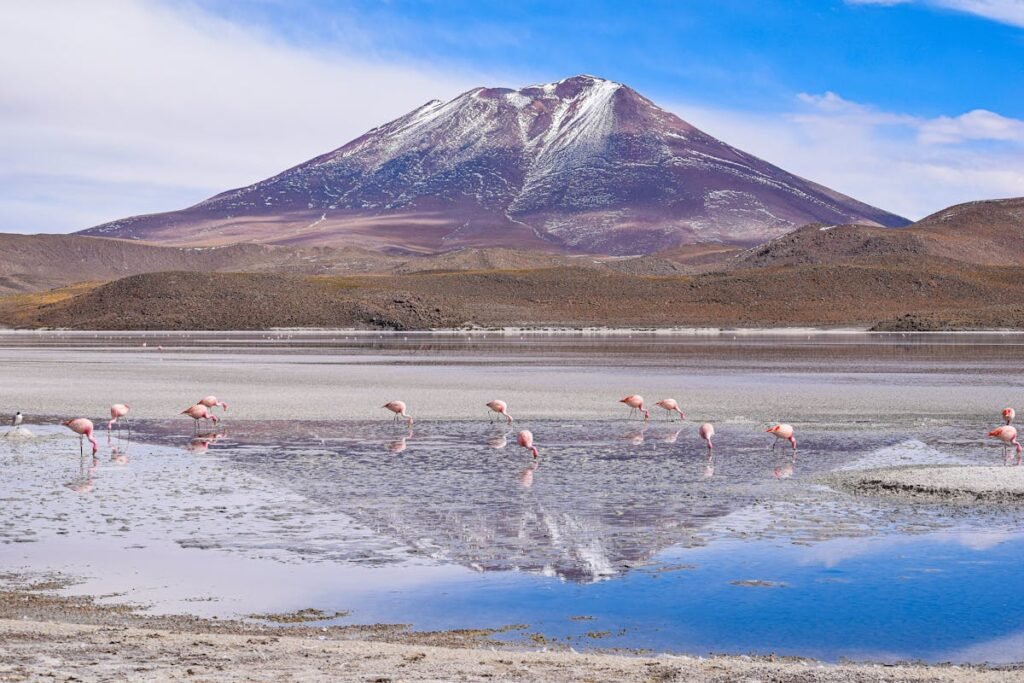 bolivia